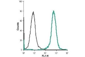 Flow Cytometry (FACS) image for anti-Solute Carrier Family 9, Subfamily A (NHE1, Cation Proton Antiporter 1), Member 1 (SLC9A1) (AA 54-67), (Extracellular) antibody (ABIN7043761)