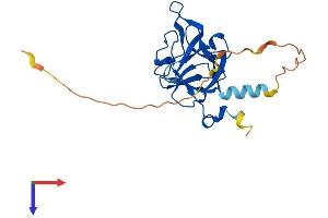 FGF20 Protein (AA 1-211) (His tag)