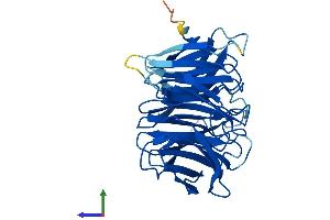 Protein Structure (PS) image for Nucleoporin 37kDa (NUP37) (AA 1-326) protein (His tag) (ABIN7550275)