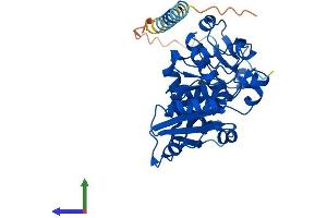 AlphaFold protein structure predicition of Human Recombinant FUT2 Protein, UniprotID Q10981 (FUT2 Protein (AA 1-343) (His tag))