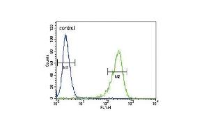 Flow Cytometry (FACS) image for anti-Ornithine Aminotransferase (OAT) (AA 27-55), (N-Term) antibody (ABIN652844)
