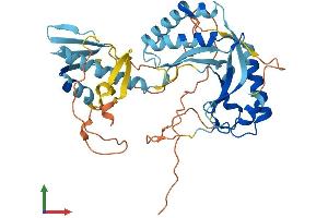 Protein Structure (PS) image for Activating Signal Cointegrator 1 Complex Subunit 1 (ASCC1) (AA 1-400) protein (His tag) (ABIN7552348)