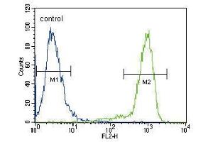 TRKA Antibody (Center) (ABIN392063 and ABIN2841826) flow cytometric analysis of Hela cells (right histogram) compared to a negative control cell (left histogram). (TRKA 抗体  (AA 654-683))