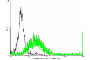 Flow Cytometry (FACS) image for anti-Prostaglandin D2 Receptor (PTGDR) (AA 1-359) antibody (ABIN519441)