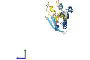 Protein Structure (PS) image for RERG/RAS-Like (RERGL) (AA 1-205) protein (His tag) (ABIN7551324)