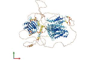 Protein Structure (PS) image for Solute Carrier Family 4, Anion Exchanger, Member 3 (SLC4A3) (AA 1-1227) protein (His tag) (ABIN7562901)