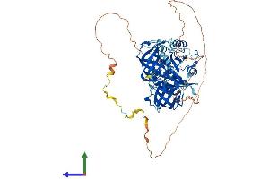 AlphaFold protein structure predicition of Human Recombinant GSPT2 Protein, UniprotID Q8IYD1