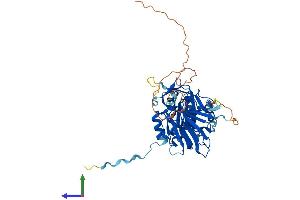 Protein Structure (PS) image for NAD Kinase (NADK) (AA 1-439) protein (His tag) (ABIN7556507)