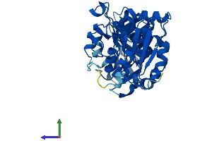 AlphaFold protein structure predicition of Human Recombinant ADH6 Protein, UniprotID P28332