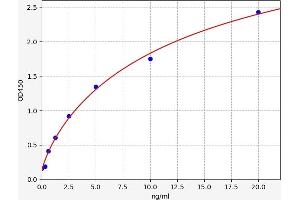 Typical standard curve (ERAP1 ELISA 试剂盒)