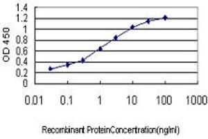 Detection limit for recombinant GST tagged FUBP1 is approximately 0. (FUBP1 抗体  (AA 27-136))