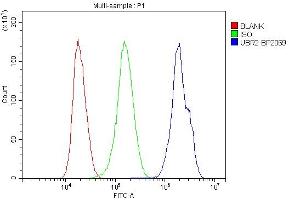Flow Cytometry analysis of HepG2 cells using anti-UBR2 antibody (ABIN7599609).
