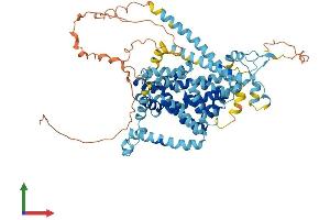 AlphaFold protein structure predicition of Human Recombinant SLC34A1 Protein, UniprotID Q06495 (Solute Carrier Family 34 (Type II Sodium/phosphate Contransporter), Member 1 (SLC34A1) (AA 1-639) protein (His tag))