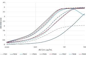 ELISA profiles of 9 ModDetect Phosphorothioate Detection reagents reactive to control oligonucleotides. (ModDetect® Phosphorothioate Panel)