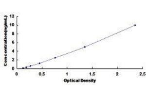 ELISA image for Interleukin 21 Receptor (IL21R) ELISA Kit (ABIN1383647)