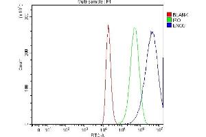 Flow Cytometry analysis of 293T cells using anti-ENO3 antibody (ABIN7601973).