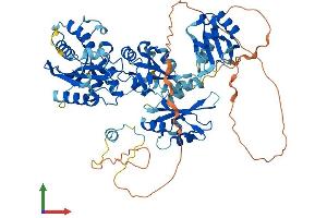 Protein Structure (PS) image for Epithelial Splicing Regulatory Protein 1 (ESRP1) (AA 1-680) protein (His tag) (ABIN7563749)