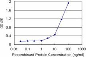Sandwich ELISA detection sensitivity ranging from 3 ng/mL to 100 ng/mL.