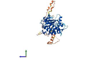 Protein Structure (PS) image for Tribbles Homolog 1 (TRIB1) (AA 1-372) protein (His tag) (ABIN7544686)