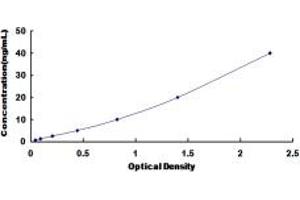 Typical standard curve (HFE2 ELISA 试剂盒)