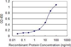 Detection limit for recombinant GST tagged SPR is 0. (SPR 抗体  (AA 164-260))