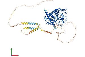 Protein Structure (PS) image for Protein tyrosine Phosphatase, Non-Receptor Type 5 (Striatum-Enriched) (PTPN5) (AA 1-541) protein (His tag) (ABIN7556173)