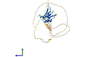 AlphaFold protein structure predicition of Human Recombinant RBM11 Protein, UniprotID P57052 (RBM11 Protein (AA 1-281) (His tag))