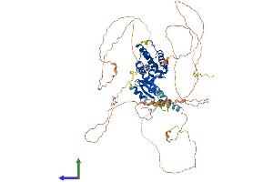 AlphaFold protein structure predicition of Human Recombinant GAS2L3 Protein, UniprotID Q86XJ1 (GAS2L3 Protein (AA 1-694) (His tag))