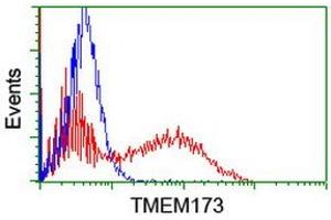 Image no. 2 for anti-Transmembrane Protein 173 (TMEM173) antibody (ABIN1501425) (STING/TMEM173 抗体)