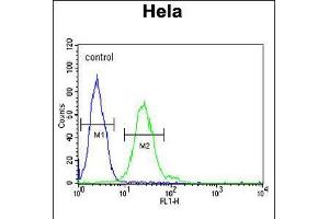 Flow cytometric analysis of Hela cells (right histogram) compared to a negative control cell (left histogram). (Trmt11 抗体  (C-Term))
