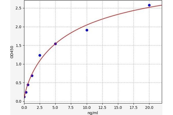 PKC ELISA 试剂盒