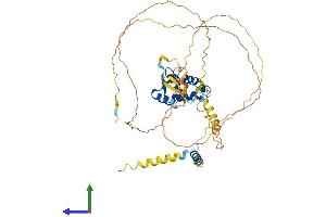 Protein Structure (PS) image for Forkhead Box N3 (FOXN3) (AA 1-457) protein (His tag) (ABIN7557372)
