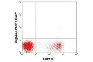 Flow Cytometry (FACS) image for Mouse anti-Human Ig (Light Chain) antibody (Pacific Blue) (ABIN2667175) (小鼠 anti-人 Ig (Light Chain) Antibody (Pacific Blue))