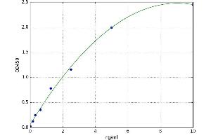 Linker For Activation of T Cells (LAT) ELISA Kit