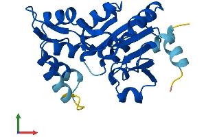 Protein Structure (PS) image for Phosphoserine Phosphatase (PSPH) (AA 1-225) protein (His tag) (ABIN7560385)