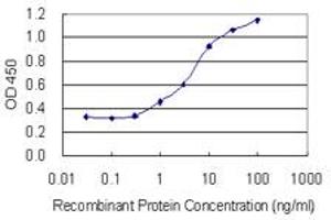Detection limit for recombinant GST tagged POTED is 0. (POTED 抗体  (AA 485-584))