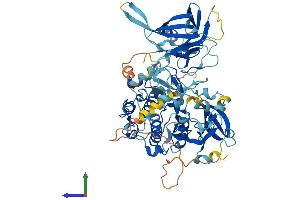 AlphaFold protein structure predicition of Mouse Recombinant Prkcd Protein, UniprotID P28867
