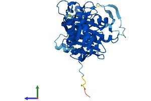 Protein Structure (PS) image for Fructose-1,6-Bisphosphatase 2 (FBP2) (AA 1-339) protein (His tag) (ABIN7556735)