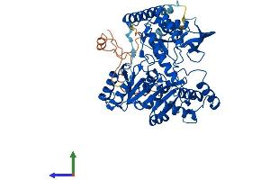 Protein Structure (PS) image for serine Palmitoyltransferase, Long Chain Base Subunit 2 (SPTLC2) (AA 1-562) protein (His tag) (ABIN7555635)