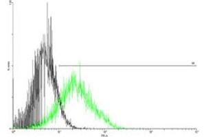 FACS analysis of negative control 293 cells (Black) and CSF2RA expressing 293 cells (Green) using CSF2RA purified MaxPab mouse polyclonal antibody.