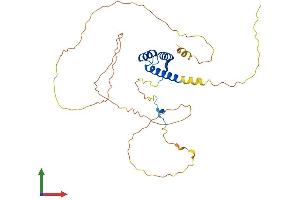 Protein Structure (PS) image for Homeobox D1 (HOXD1) (AA 1-328) protein (His tag) (ABIN7556864)