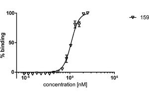 ELISA analysis of human HDAC6 by mouse monoclonal antibody 159. (HDAC6 抗体)