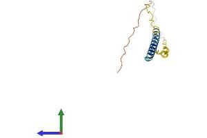 AlphaFold protein structure predicition of Human Recombinant BEX3 Protein, UniprotID Q00994