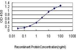 Detection limit for recombinant GST tagged ACOX2 is approximately 0. (Acox2 抗体  (AA 582-681))