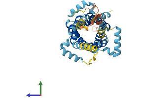 Protein Structure (PS) image for Solute Carrier Family 25, Member 40 (SLC25A40) (AA 1-338) protein (His tag) (ABIN7545876)