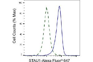 Validation of STAU1 knockdown using flow cytometry. (Recombinant STAU1/Staufen 抗体)