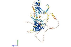 Protein Structure (PS) image for Spire Homolog 2 (SPIRE2) (AA 1-714) protein (His tag) (ABIN7555551)