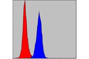 Flow cytometric analysis of NIH/3T3 cells using PRK2 mouse mAb (blue) and negative control (red). (PKN2 抗体)