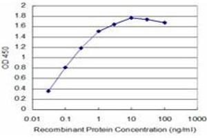 Detection limit for recombinant GST tagged TAOK3 is approximately 0. (TAO Kinase 3 抗体  (AA 809-898))