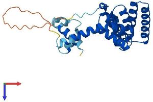 Suppression of Tumorigenicity 13 Pseudogene 4 (ST13P4) (AA 1-240) protein (His tag)